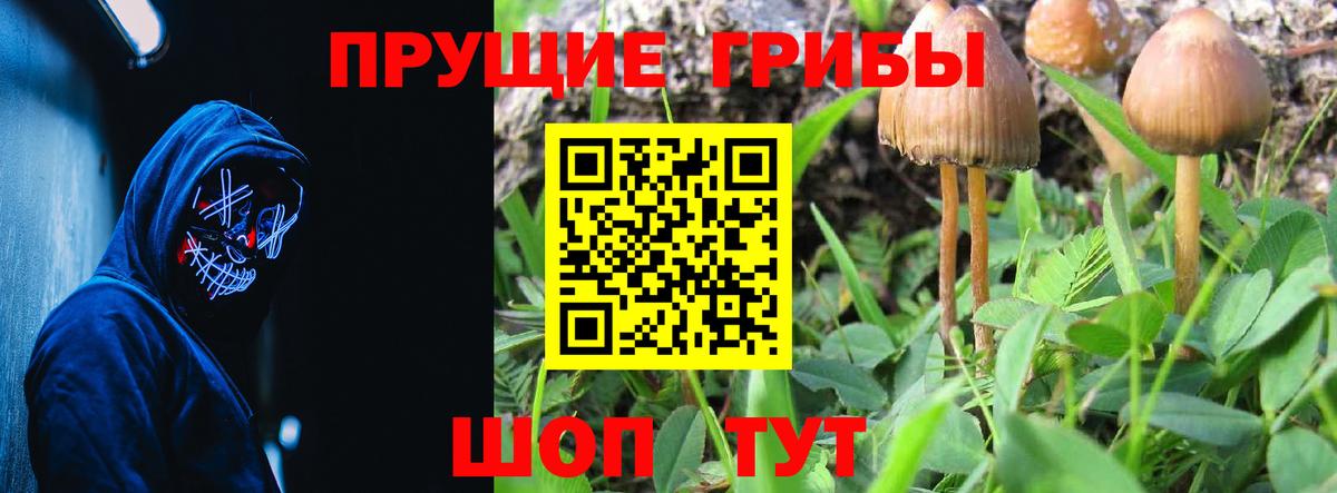 Галлюциногенные грибы Psilocybine cubensis  Псилоцибиновые грибы Cubensis  Вход с VPN  купить наркотики цена  Лосино-Петровский 